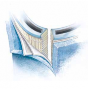 312649英德諾曼internormen回油站過濾器濾芯01.NL100