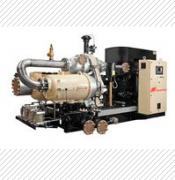 310882英德諾曼循環油過濾器替代濾芯01.E2001.10VG