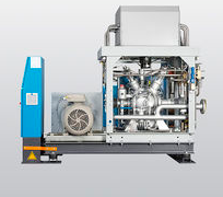 310883英德諾曼壓縮機過濾器替代濾芯01.E2001.16VG